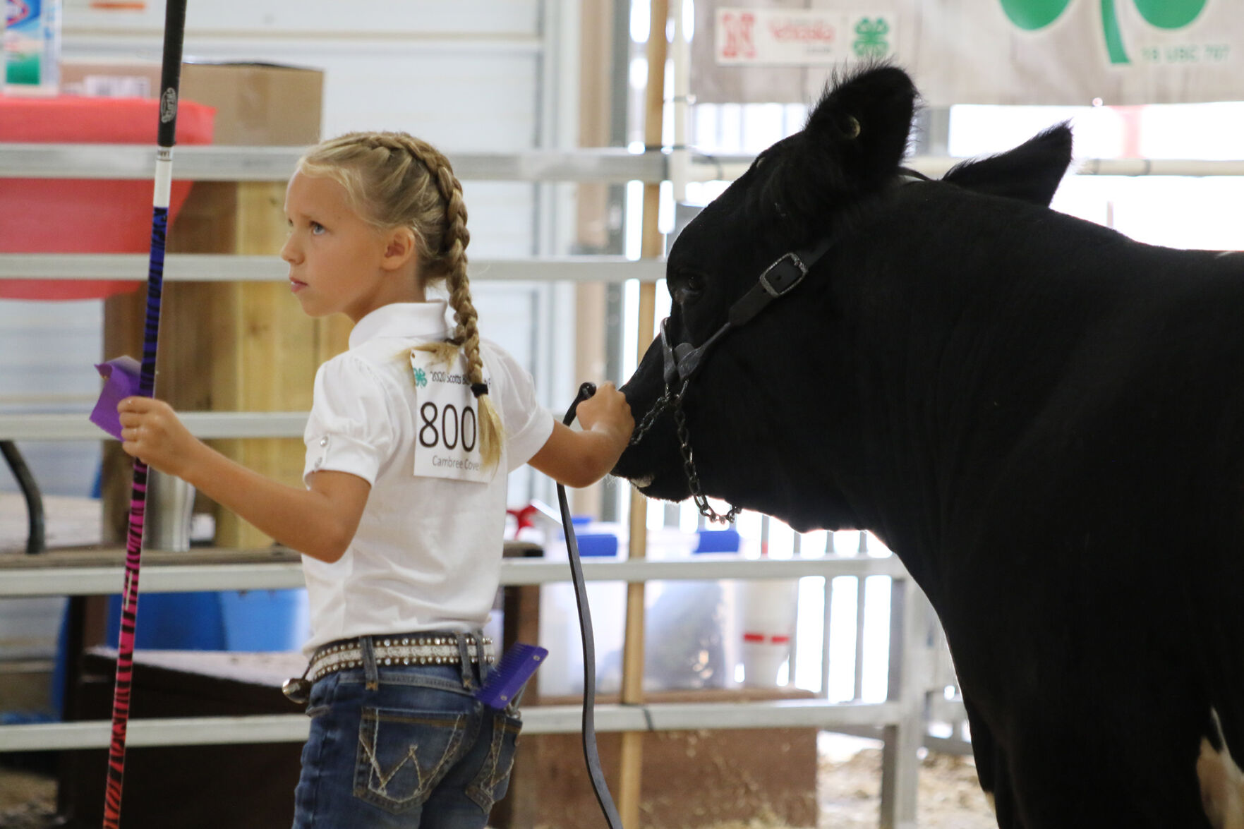 PHOTOS: Market Beef Show 2020